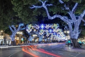 From Gibraltar & Costa del Sol: Malaga Christmas Lights Tour