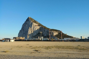 From Jerez: Gibraltar Dolphin Watching Tour with Free Time