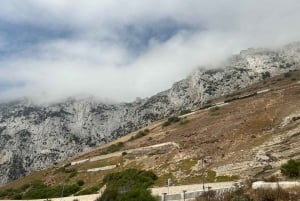 van La Cala/Marbella/Estepona: VIP-tour door Gibraltar met apenrots + winkelen