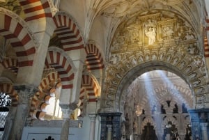 From la Costa del Sol: One Day in Córdoba + Mezquita