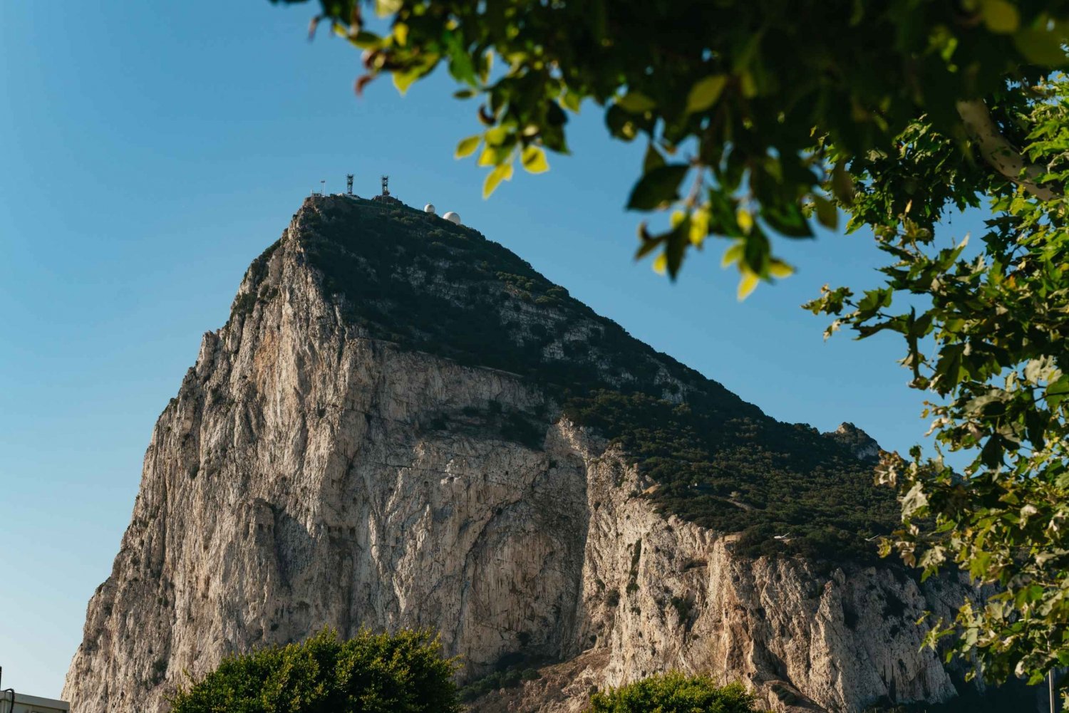 Fra Malaga og Costa del Sol: Tur til Gibraltar