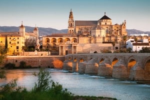 From Malaga: Day Trip to Córdoba