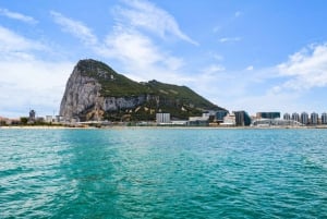Fra Malaga: Dagstur til Gibraltar og delfinbådtur
