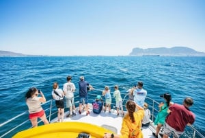 Desde Málaga: Excursión de un día a Gibraltar y Excursión en barco con delfines