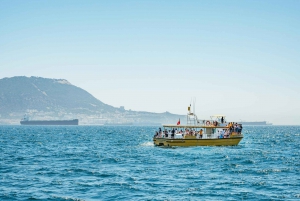 From Malaga: Day trip to Gibraltar and Dolphin Boat Tour