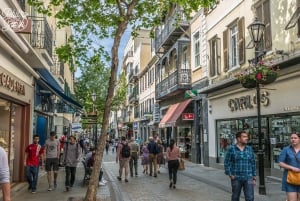 From Malaga: Day Trip to Gibraltar with Guided Tour
