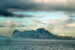 From Málaga: Full-Day Gibraltar Rock Tour with Bus