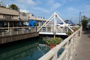 From Malaga: Day trip to Gibraltar and Dolphin Boat Tour