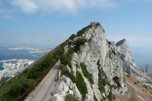 From Malaga: Day trip to Gibraltar and Dolphin Boat Tour