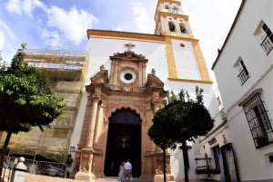 Ab Málaga: Privater Ausflug nach Gibraltar und Marbella