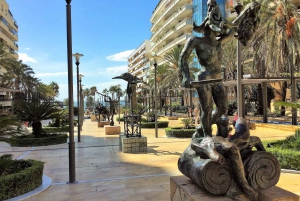 Vanuit Málaga: privétrip in Gibraltar en Marbella