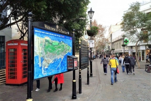 From Málaga: Gibraltar and Marbella Private Tour