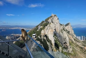 Fra Malaga: Privat dagstur til Gibraltar og Tanger