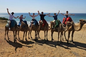 Fra Malaga: Privat dagstur til Gibraltar og Tanger