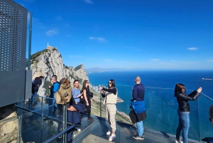 Fra Malaga: Privat dagstur til Gibraltar og Tanger