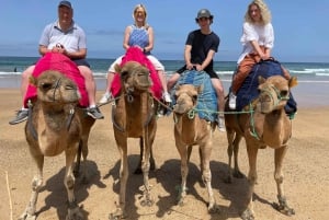 Fra Malaga: Privat dagstur til Gibraltar og Tanger