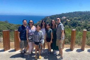 Fra Malaga: Privat dagstur til Gibraltar og Tanger