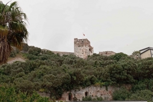 Von Málaga aus: Tagestour nach Gibraltar