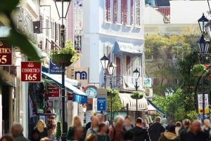Fra Málaga: Heldagstur til Gibraltarklippen og grottene i Gibraltar