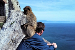 From Málaga or Marbella: Private Gibraltar Tour