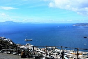 Från Málaga eller Marbella: Privat rundtur i Gibraltar