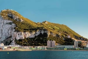 Fra Malaga: Privat dagstur til Gibraltarklippen