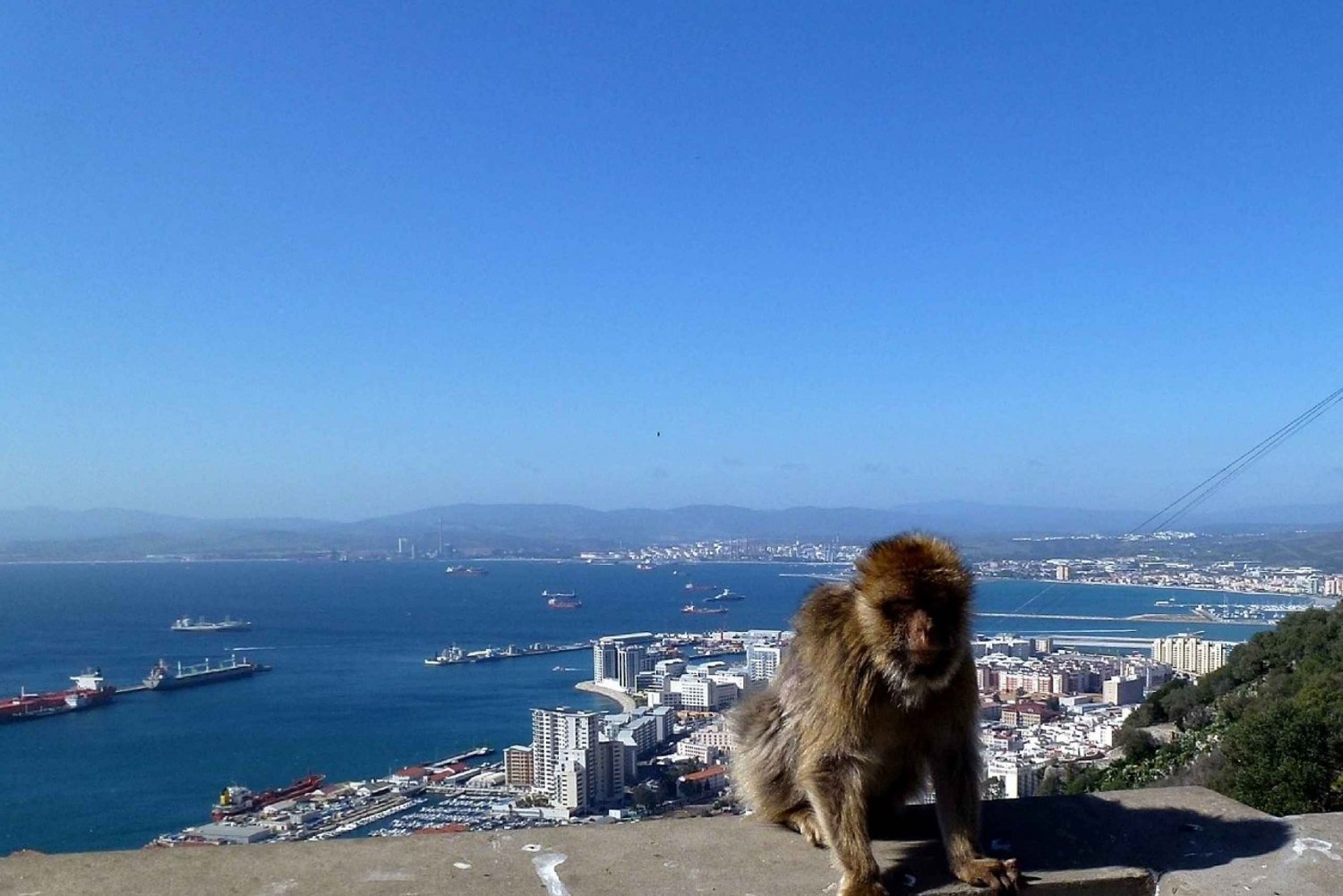 Från Malaga: Privat dagstur för höjdpunkter i Gibraltar