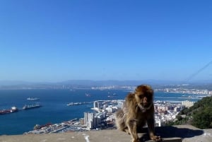 From Malaga: Private Gibraltar Highlights Day Trip