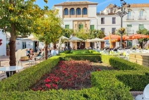 Desde Málaga: tour privado en Marbella