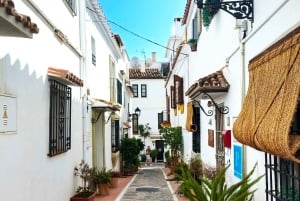 Desde Málaga: tour privado en Marbella