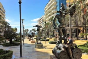 Desde Málaga: tour privado en Marbella