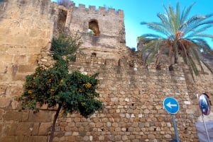 Desde Málaga: tour privado en Marbella