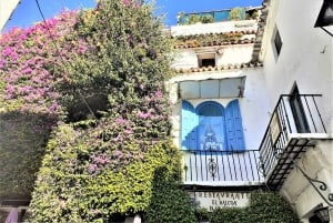 Desde Málaga: tour privado en Marbella