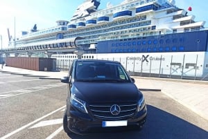 Desde Málaga: tour privado en Marbella