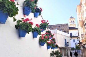 Desde Málaga: tour privado en Marbella
