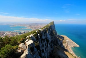 Från Malaga: Gibraltar klippan: Privat tur utan att gå i kö