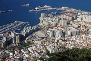 De Málaga: excursão privada sem fila ao Rock of Gibraltar