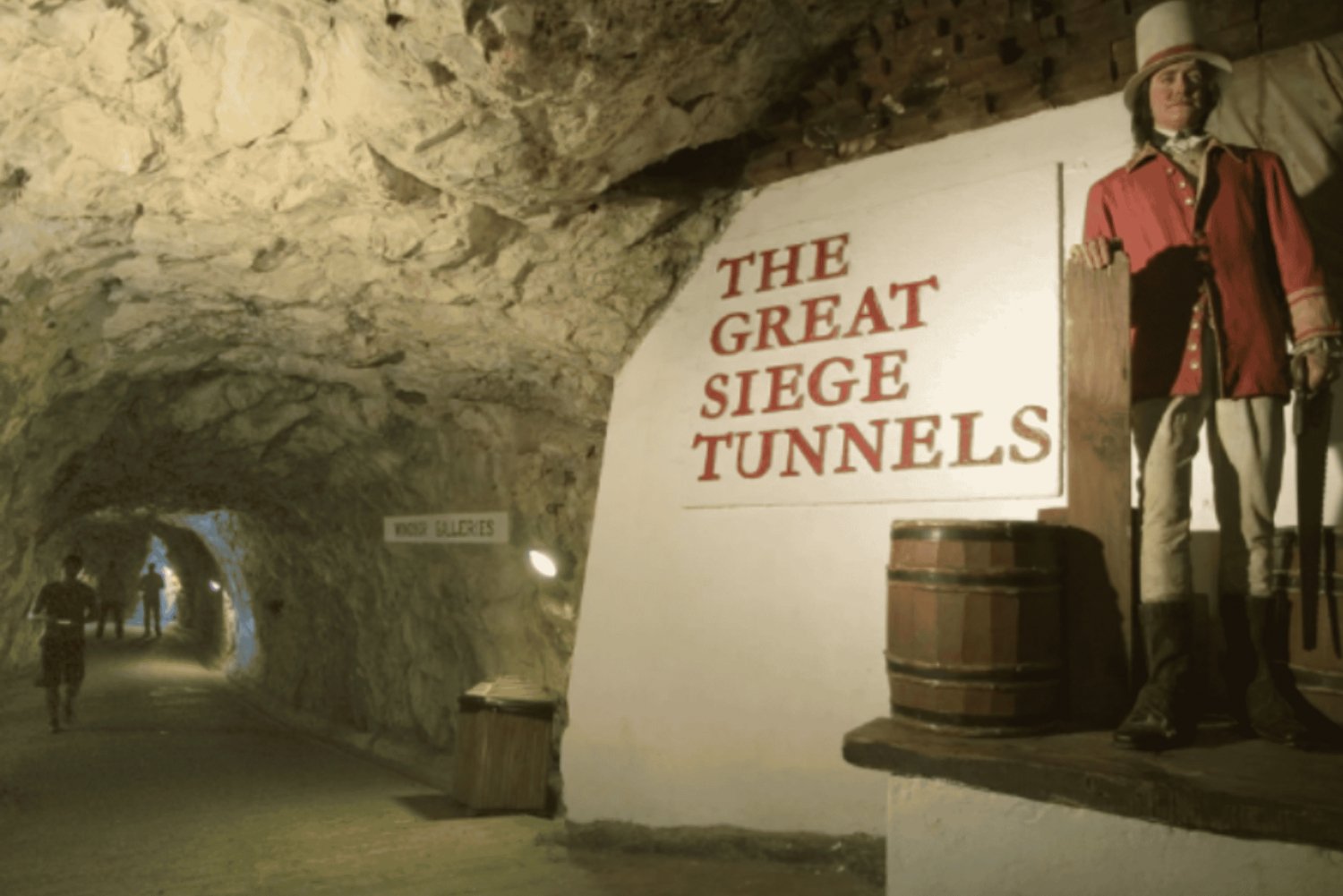 Depuis Marbella : Excursion privée à Gibraltar avec guide de région