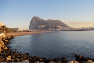 Depuis Marbella : Excursion privée à Gibraltar avec guide de région