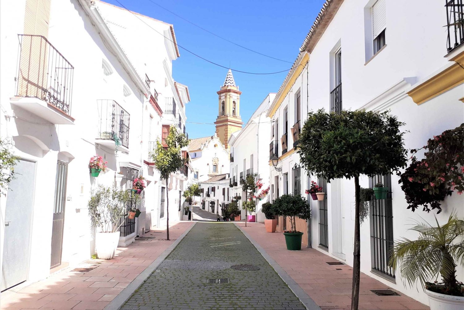 Vanuit Marbella: Privétrip met gids naar Gibraltar en Estepona