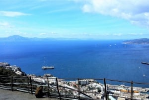 Depuis Marbella : Excursion privée guidée à Gibraltar et Estepona