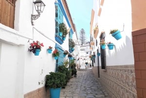Von Marbella aus: Geführter Privatausflug nach Gibraltar und Estepona