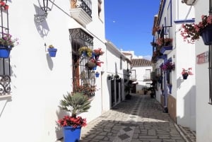 Da Marbella: Gita privata guidata a Gibilterra ed Estepona