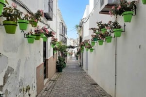 Från Marbella: Guidad privat resa till Gibraltar och Estepona