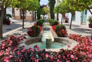 Fra Marbella: Privat tur til Gibraltar og Estepona med guide