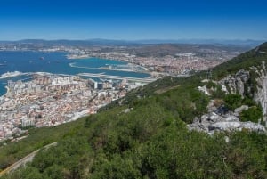 From Nerja/Almunecar: Gibraltar Day Trip with Cable Car Ride