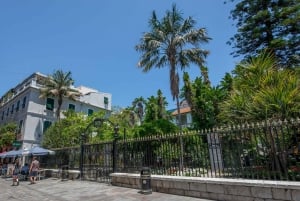 From Nerja/Almunecar: Gibraltar Day Trip with Cable Car Ride