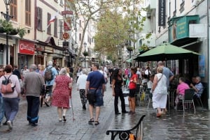 Depuis Séville : Visite d'une jounée privée de Gibraltar