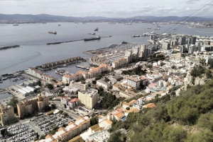 Vanuit Sevilla: Privétour van een hele dag naar Gibraltar