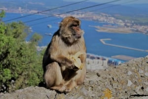 From Seville: Full-Day Trip to Gibraltar